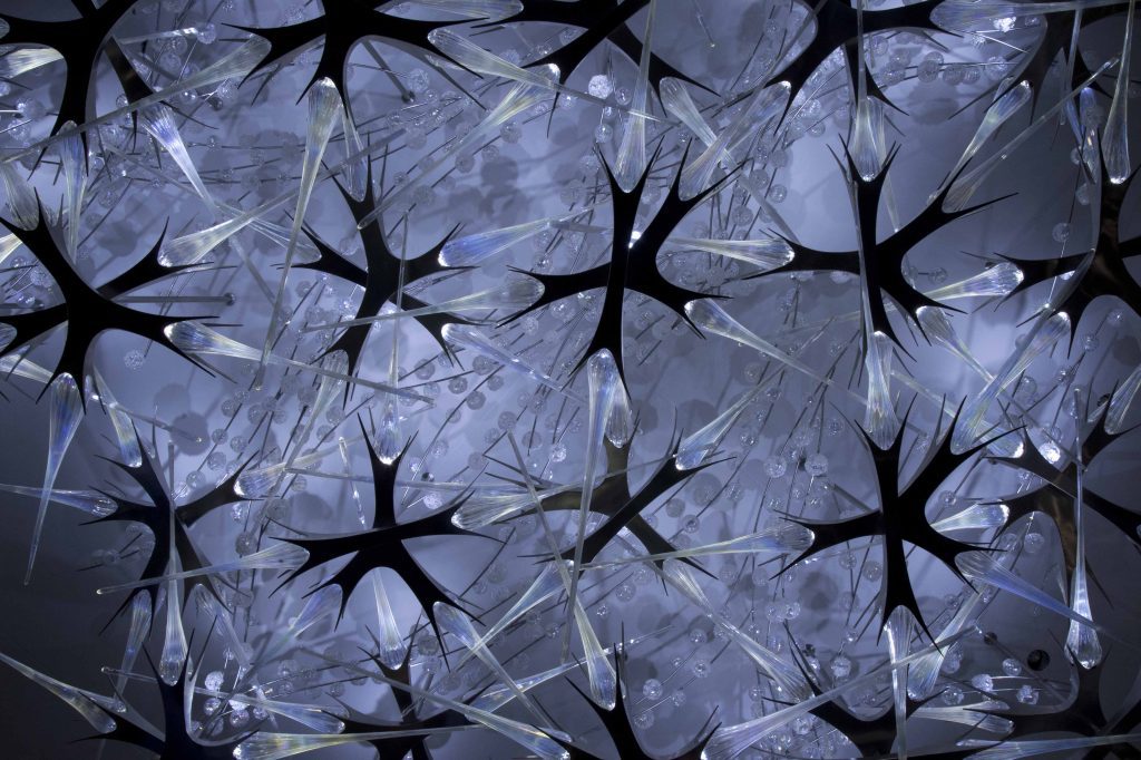 Gappa Glass Introspection 003