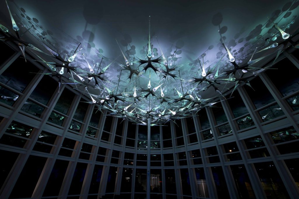 Gantom illuminated glass neuron installation Introspection at Brain Performance Institute

